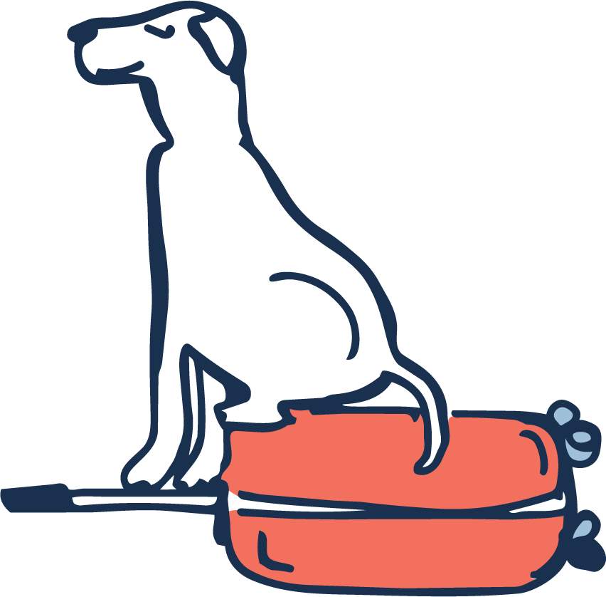 Moose, the Pawsport dog, sitting on a packed coral suitcase and looking toward the headline, ready to go